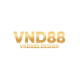 vnd888design