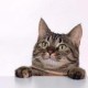 gsup's picture