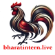 Avatar for ĐÁ GÀ THOMO BHARATINTERN