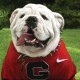 Dawggie81