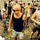 stevenlangbroek's picture