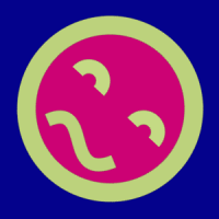 PJone