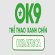 Avatar for OK9