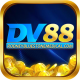 Avatar for Dv88