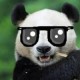 PPthePanda