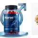 Horsefiltry