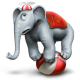 Yellomoon
