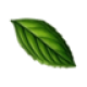 Vanya Sergeev's avatar