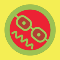 geo_ny