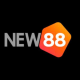 vnew88nett