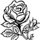 aanbar's picture