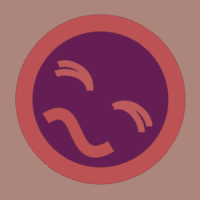 scooter35