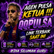 qqpulsaslot