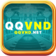 qqvndnet