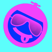 rdradr
