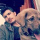 yigit456