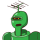 guest