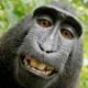 guillaumejay's picture
