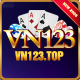 vn123top