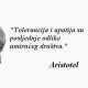 Mirza Sarajlic