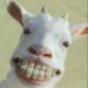 Avatar for eddieosh
