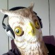 Neil Chapman's Avatar