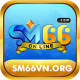 Avatar for sm66vnorg