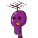 guest