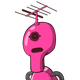 guest