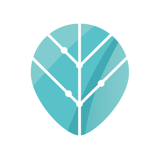 elyse@themindsail.com