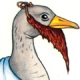 The Bearded Goose