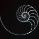 Avatar for U. Nomi vs. Parasites