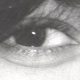 Lory
