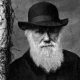 darwinharmless Avatar