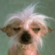 flos's picture