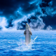 Phflipper