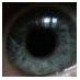and_hom's picture