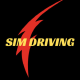 Avatar for Sim Driving