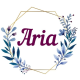 Aria
