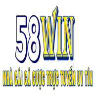 58Winvip skin