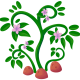 magewish4