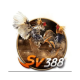 Avatar for SV388