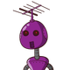 guest