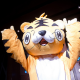 yaoyichi
