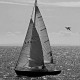 Comment author image