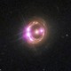Rocket's avatar