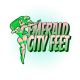 EmeraldCityFeet