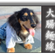 大腸麵線阿米GO
