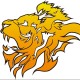Avatar for lion_man44