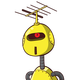 guest